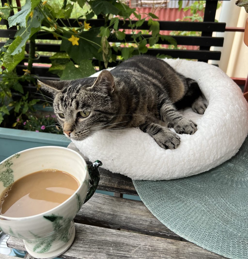 Det vilda nervsystemet