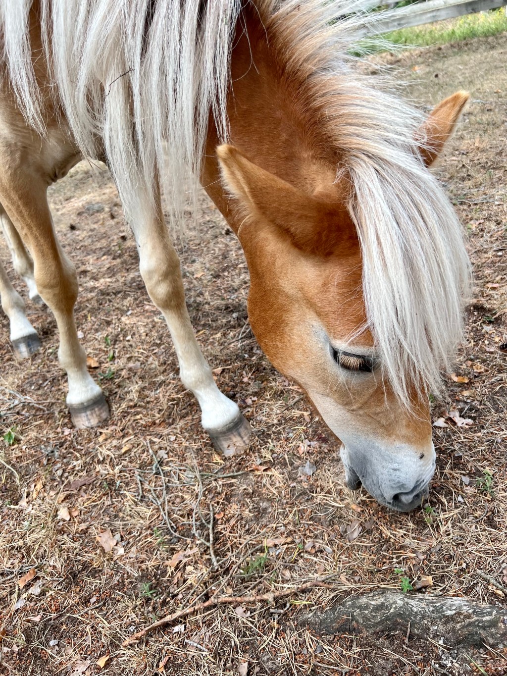 The system only dreams in total darkness