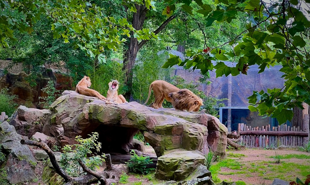 I krig och kärlek är allting&nbsp;tillåtet..