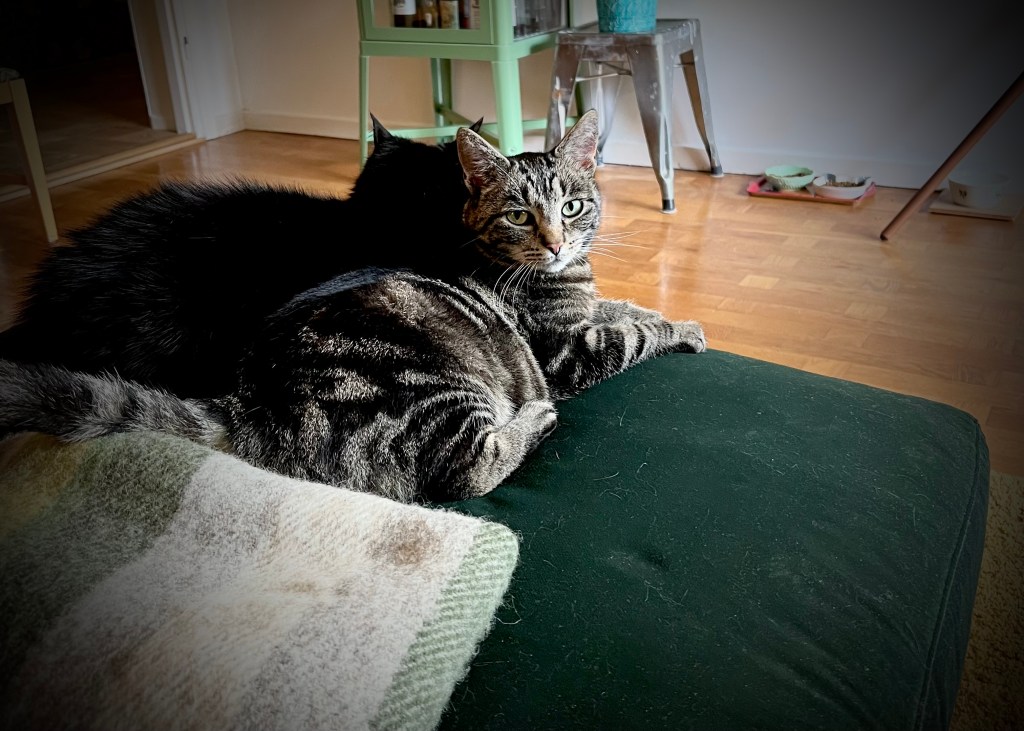 No one dies from love