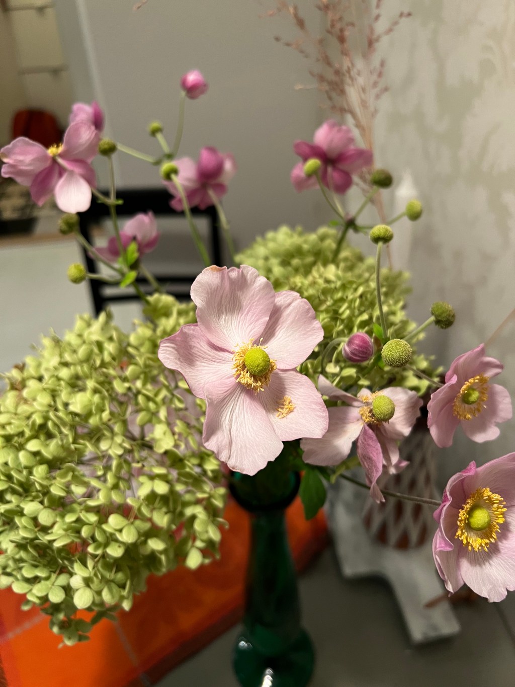 Livet i en&nbsp;mening