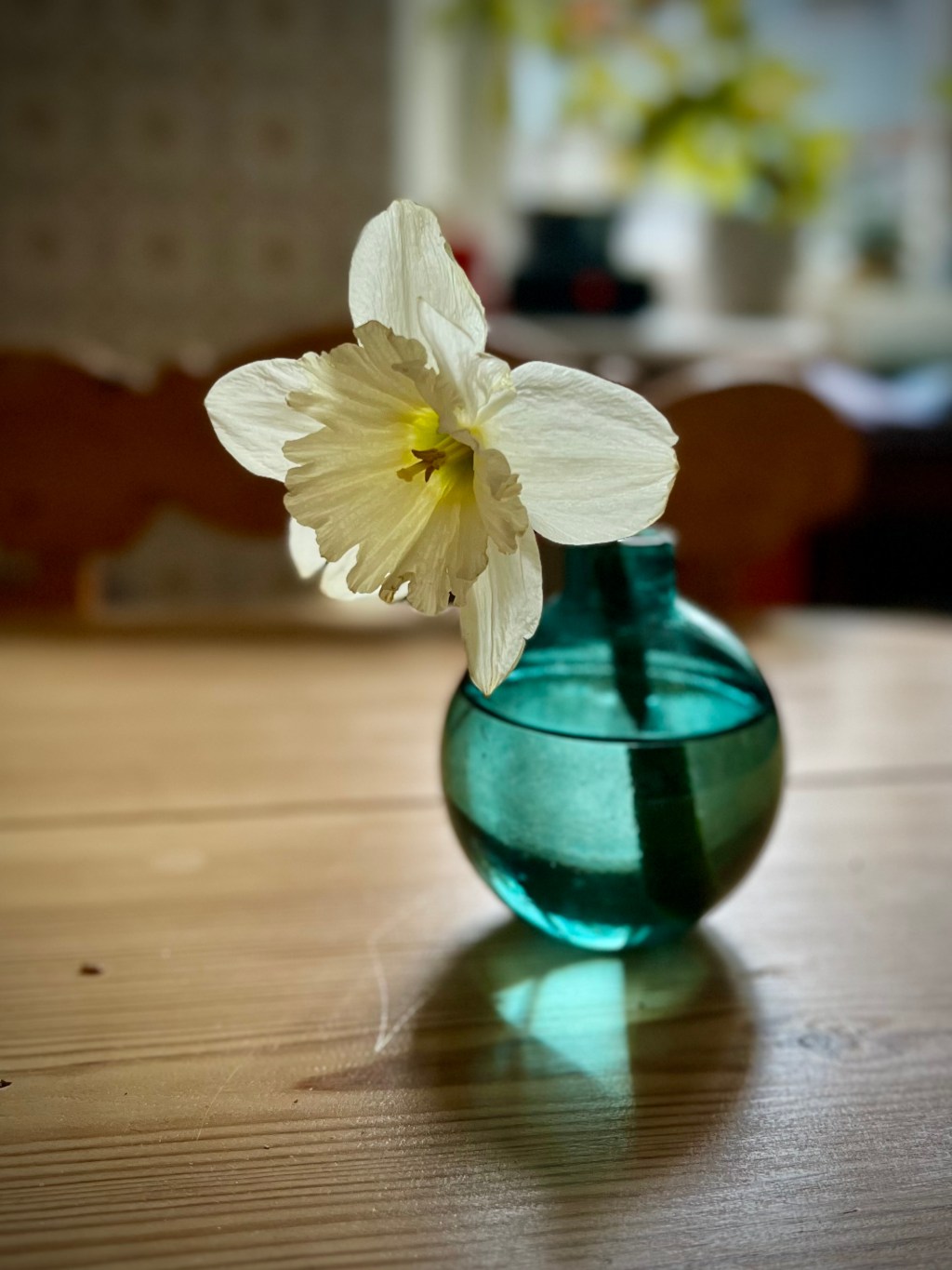Daffodil