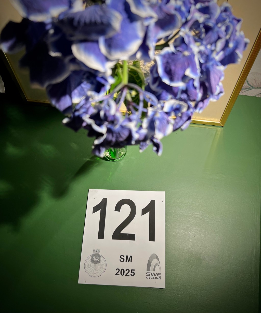 Veteran SM – för lite mer&nbsp;självplågeri