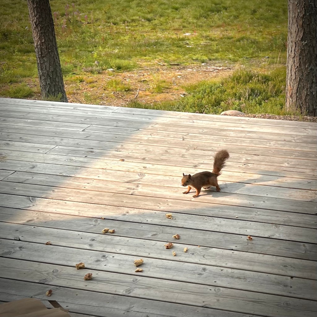 Att definiera sig&nbsp;själv