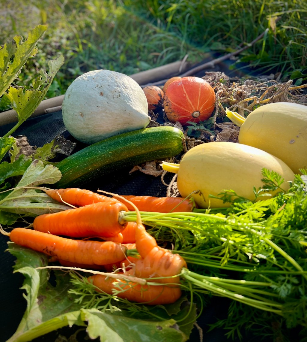 Att skörda frukten av sitt&nbsp;arbete