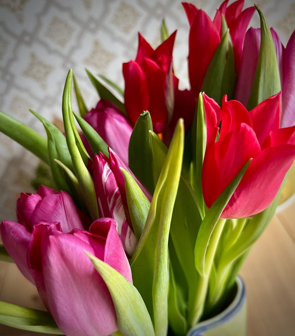 Livet är för kort för att inte säga ja